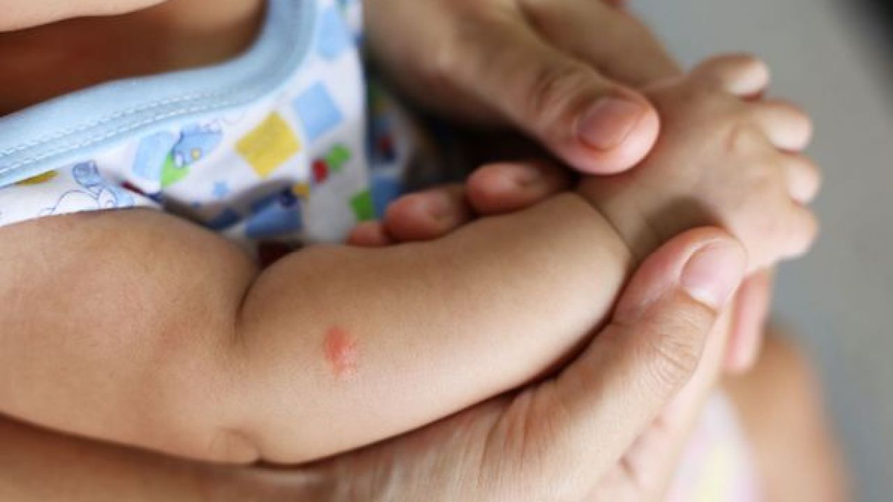 Read more about the article 5 dicas para proteger as crianças das picadas de insetos
