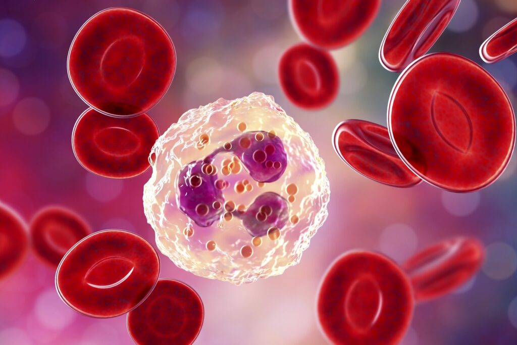 O que é Hematologia? – IME Clínica Cidadã | Blog